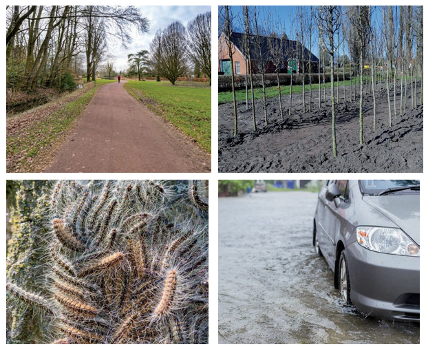 Sfeerbeelden natuur en milieu met rupsen net geplante bomen en een auto die last heeft van wateroverlast door overstroming